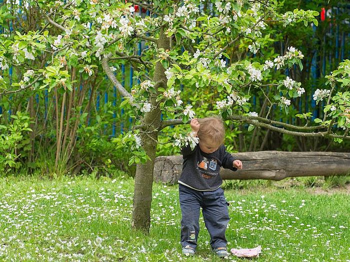 Tagespflege HochschulMinis
